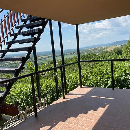 Fehér Szőlő Vendégház Sátoraljaújhely Extérieur photo