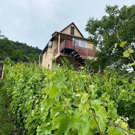 Fehér Szőlő Vendégház Sátoraljaújhely Extérieur photo