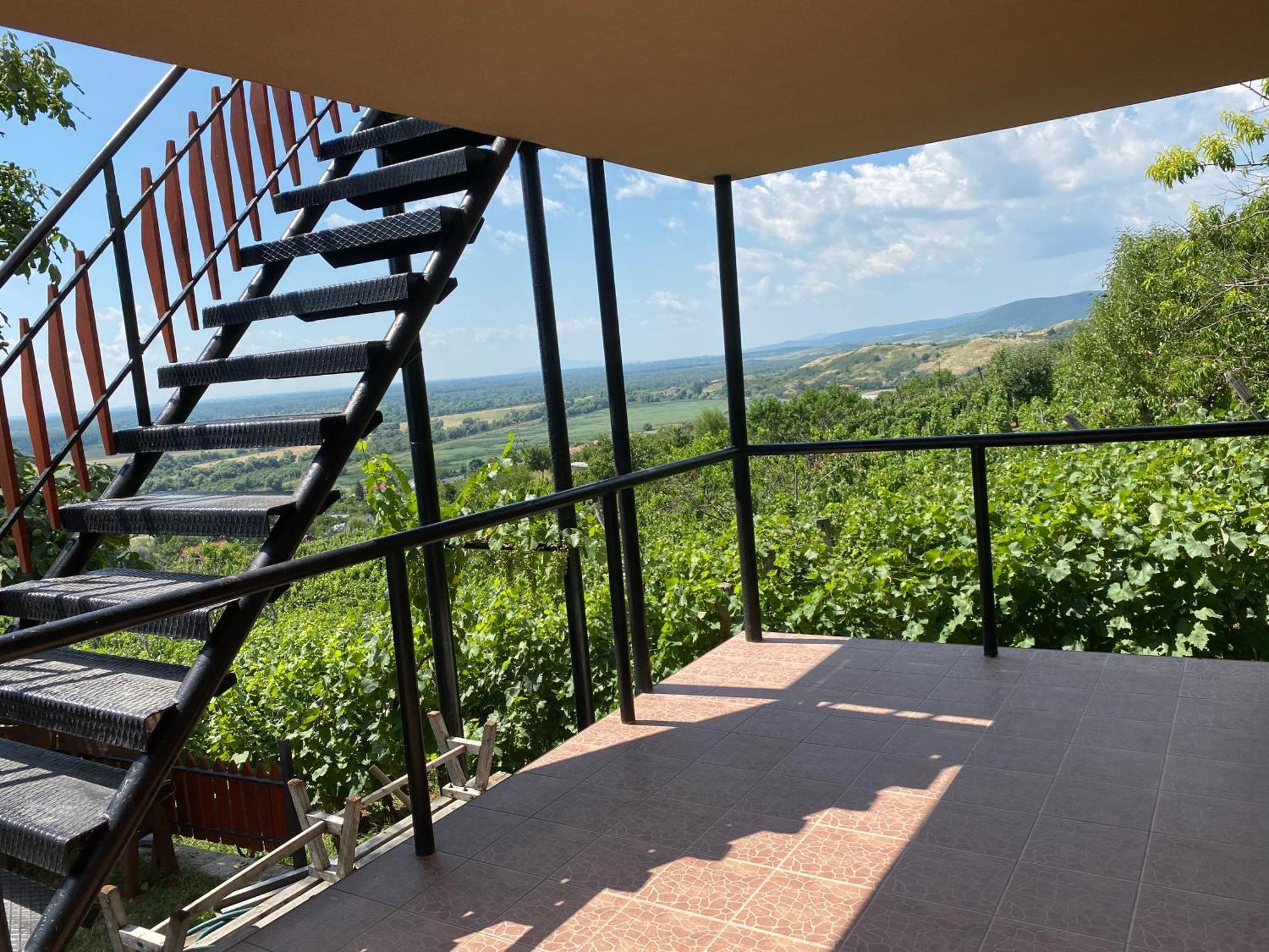 Fehér Szőlő Vendégház Sátoraljaújhely Extérieur photo