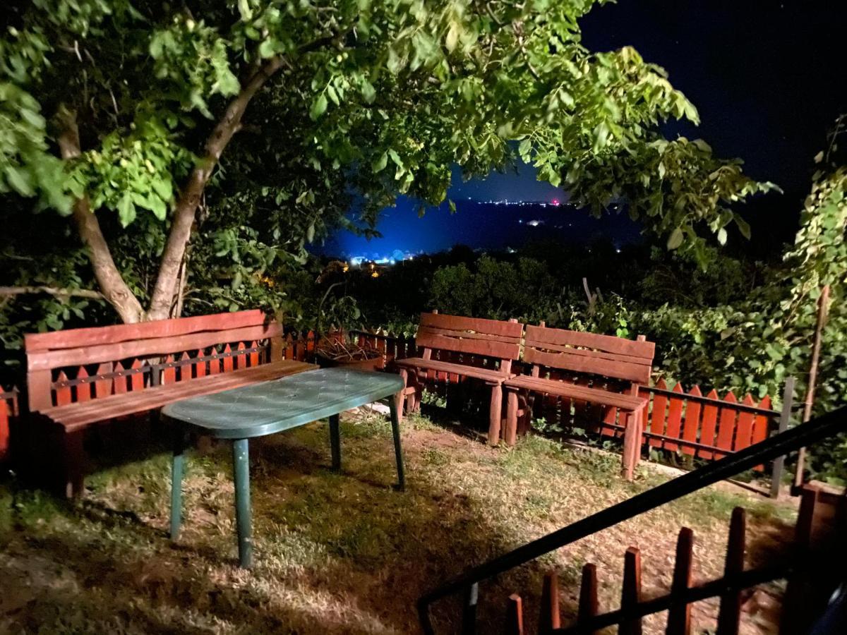 Fehér Szőlő Vendégház Sátoraljaújhely Extérieur photo