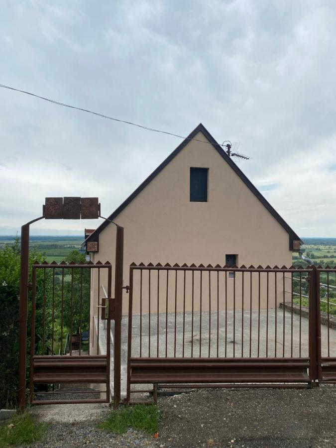 Fehér Szőlő Vendégház Sátoraljaújhely Extérieur photo