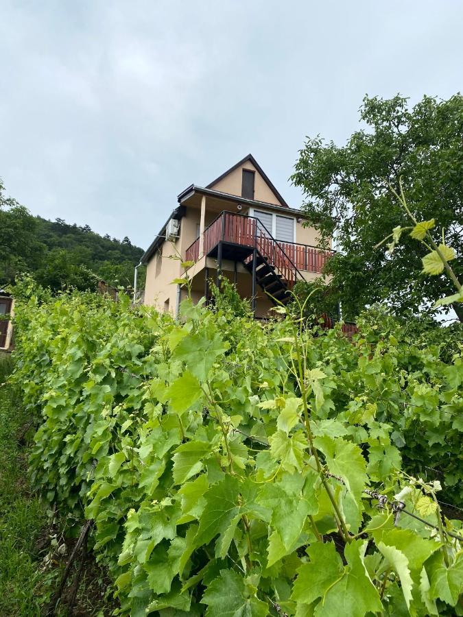 Fehér Szőlő Vendégház Sátoraljaújhely Extérieur photo